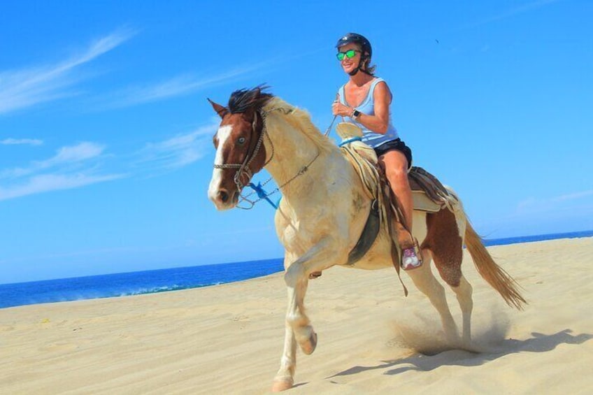 COMBO Horseback Beach Ride & Desert ATV Adventure in Los Cabos