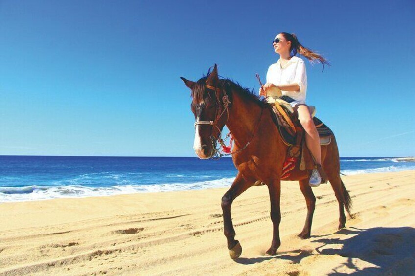 Combo Horseback Beach Ride & ATV Adventure. Tequila Tasting