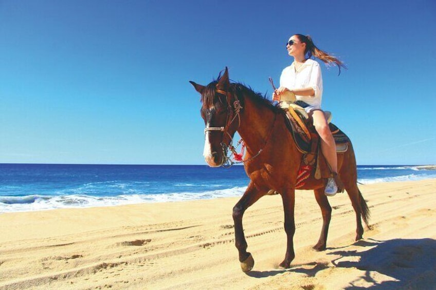 Combo Horseback Beach Ride & ATV Adventure. Tequila Tasting