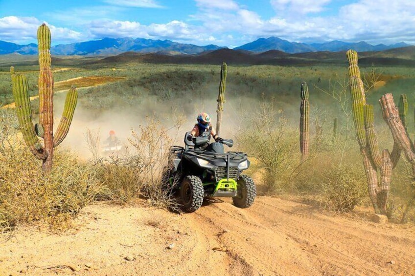 COMBO Horseback Beach Ride & Desert ATV Adventure in Los Cabos