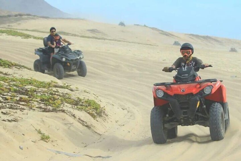 COMBO ATV & HORSEBACK Ride. Beach and Desert