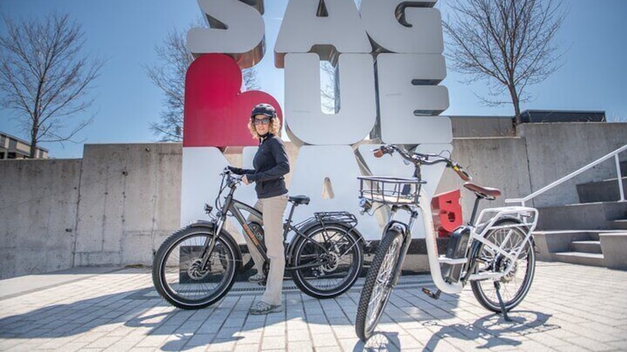 E-bike Rental - 3 hour along the shoreline Bike Path