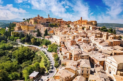 Au départ de Rome : Excursion d'une journée en Toscane avec déjeuner et dég...