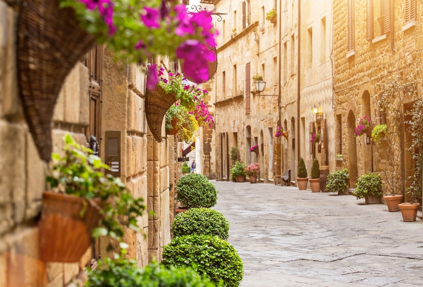 Tuscany Day Trip from Rome including 3 course Lunch & Wine Tasting