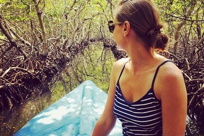 Roatan Mangrove Tunnels Adventure
