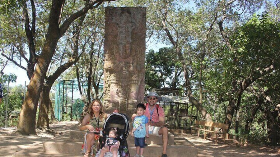 Roatan Wildlife Monkey Sloth Chocolate Rum Tasting city Tour