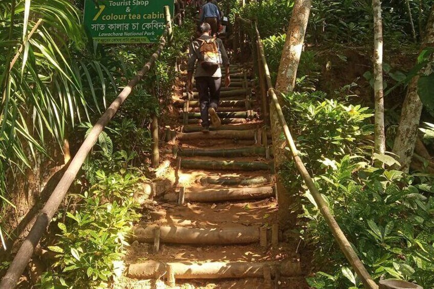 Srimangal nature tour in forest and tea garden