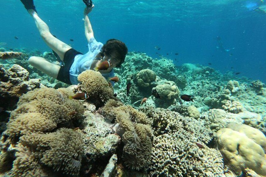 Half Day Snorkeling