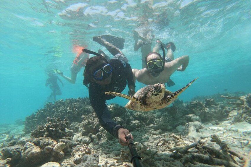 Half Day Snorkeling