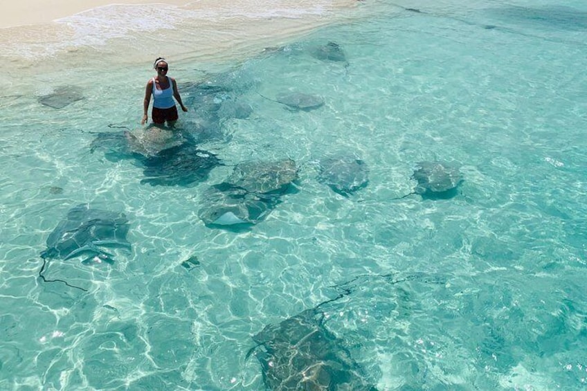 Snorkel with Nurse Sharks and Explore Vaavu Atoll Maldives