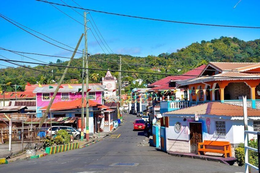 Grenada West Coast Half Day Tours