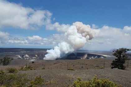 Hawaii Volcano Adventure Tour from Hilo