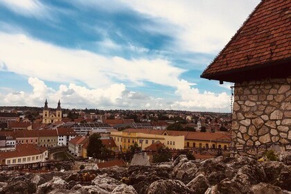 Privat heldagstur til Eger - historie, kultur og vin