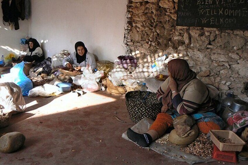 Small-group Day Trip from Marrakech to Essouira 