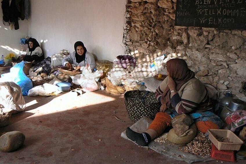 Small-group Day Trip from Marrakech to Essouira