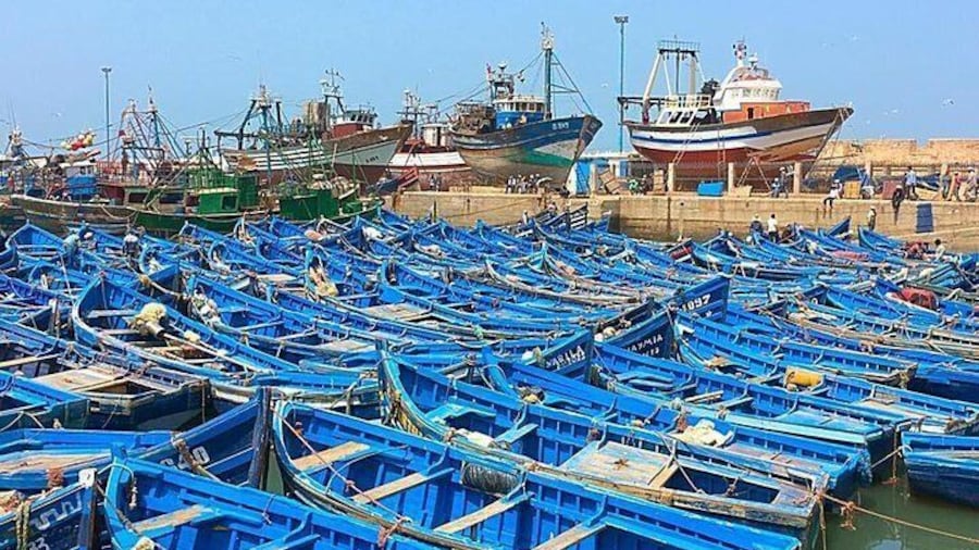From Marrakech To Essaouira Mogador Full Day Trip | Small-group