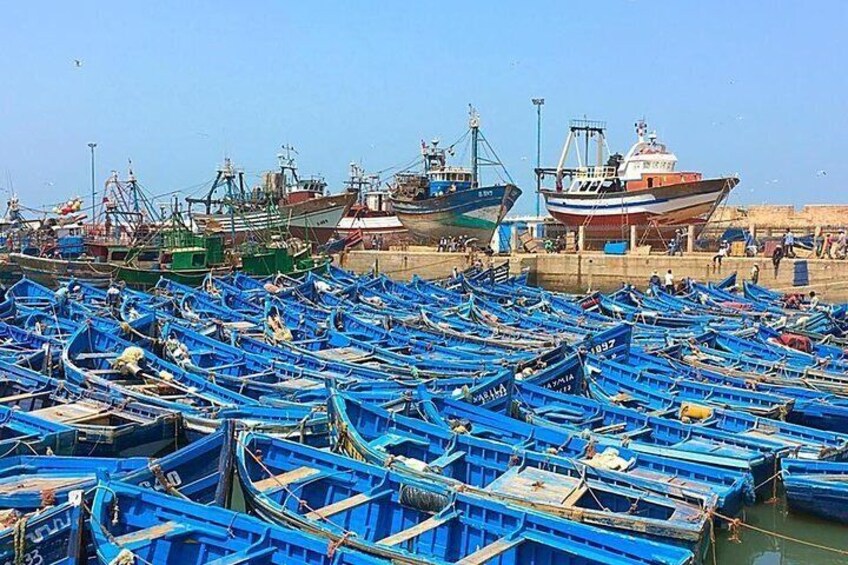 Small-group Day Trip from Marrakech to Essouira 