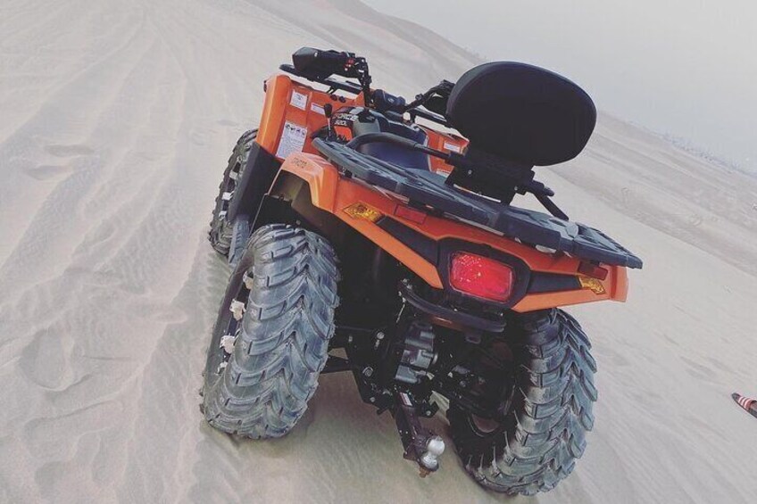 Desert Safari - Complete experience - 4 hours