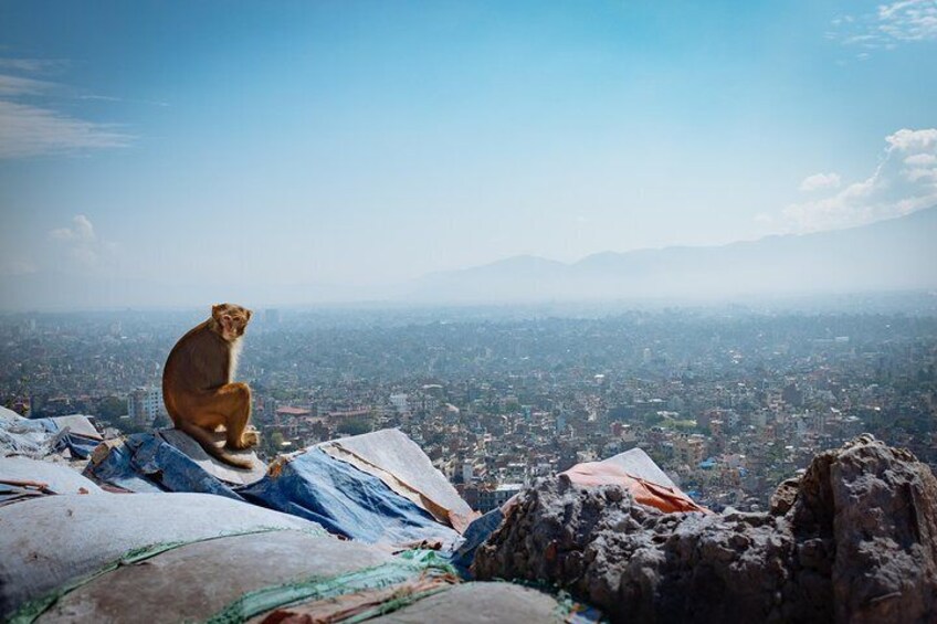 View from Swyambhunath 