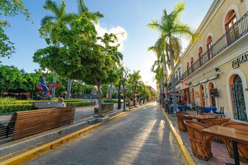 Mazatlan Sightseeing and Golden Zone Private Vehicle