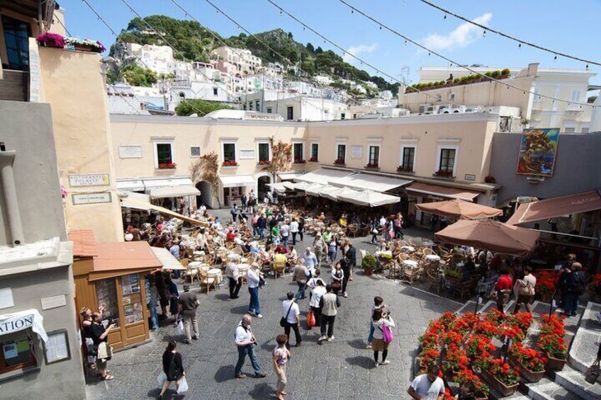 Capri and Blue Grotto Private Tour from Naples or Sorrento