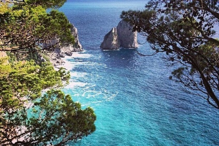 Capri and Blue Grotto Private Tour from Naples or Sorrento