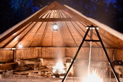 Sleigh ride Under The Northern Lights