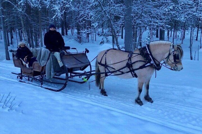 Sleigh ride in the arctic Country side 