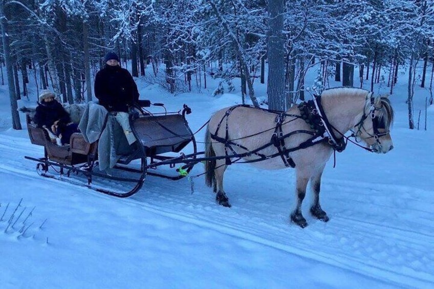 Sleigh ride in the arctic Country side