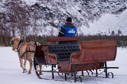 Sleigh ride in the arctic Country side