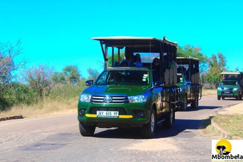 Full-Day Kruger Park Safari from Nelspruit, Whiteriver or Hazyview