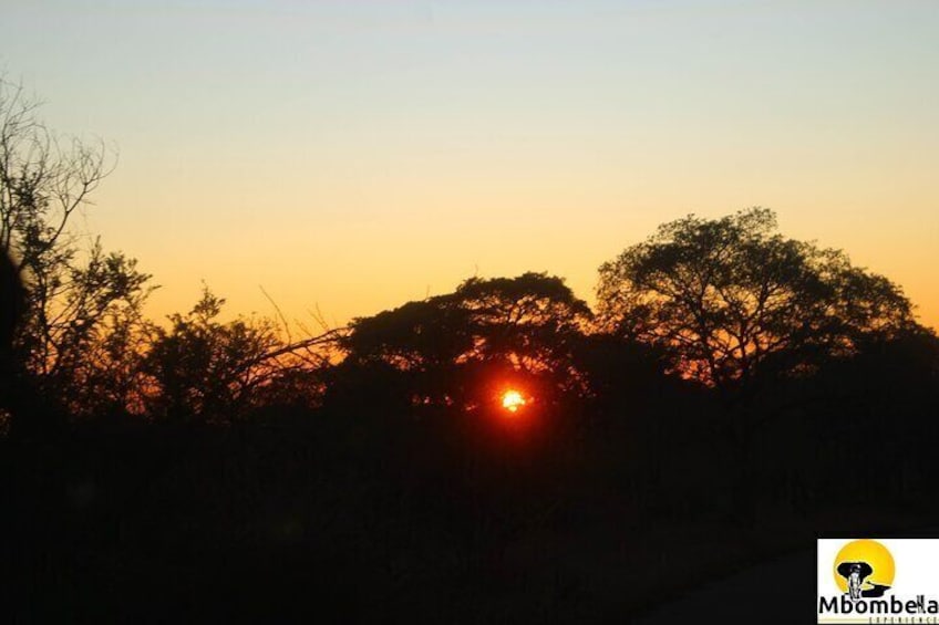 3 Days Johannesburg - Kruger Safari- Blyde River Canyon