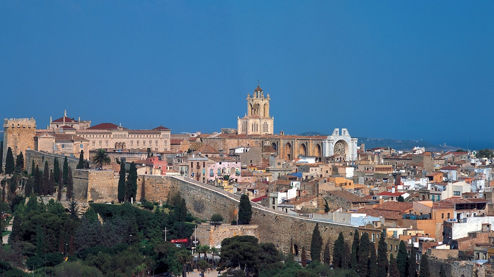 wide view of Tarragona Cathedral church in Barcelona