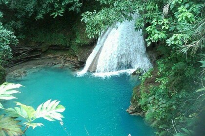 The Best of Dunn's River & Blue Hole Tour with River Tubing from Ocho Rios