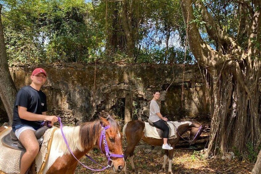 East Coast Horseback Riding Excursion St. Lucia