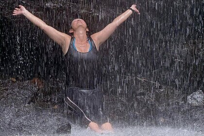 East Coast Horseback Riding & Waterfall Excursion