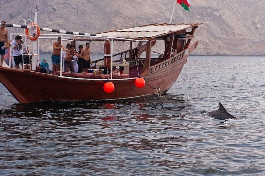 Dhow cruise to the fjords with dolphin watching