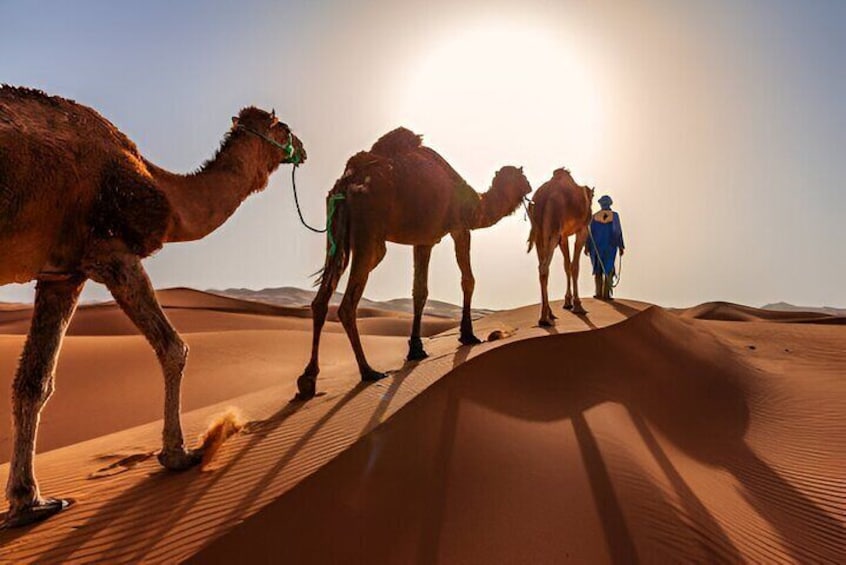 9 Days Private Morocco Desert Tour from Marrakech 