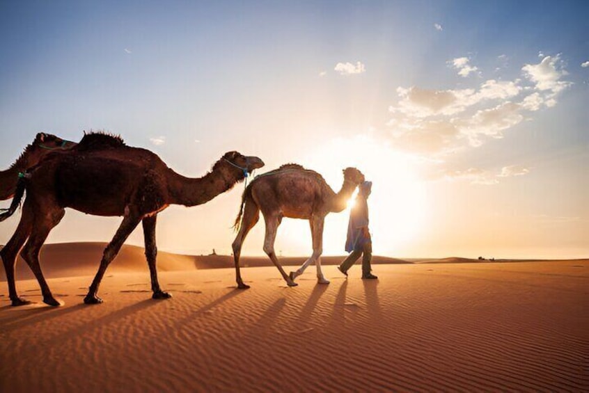 9 Days Private Morocco Desert Tour from Marrakech 