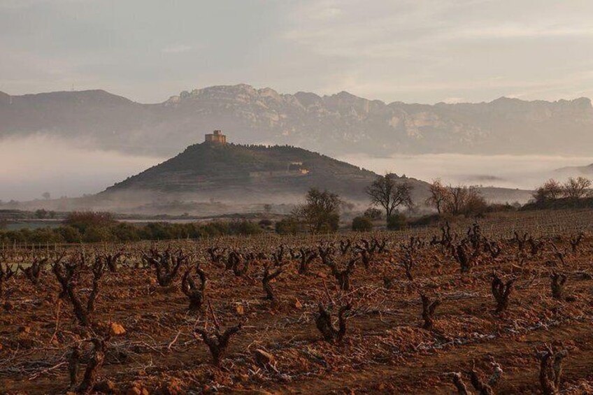 Rioja Alavesa Wineries and Medieval Villages Private Day Trip