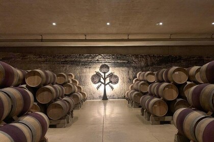 Rioja Alavesa Wineries and Medieval Villages Day Trip