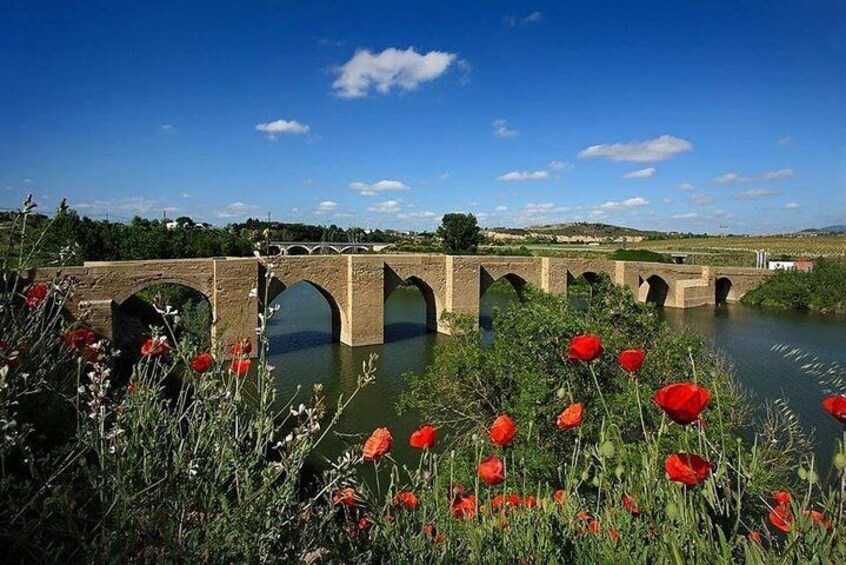 Rioja Alavesa Wineries and Medieval Villages Private Day Trip