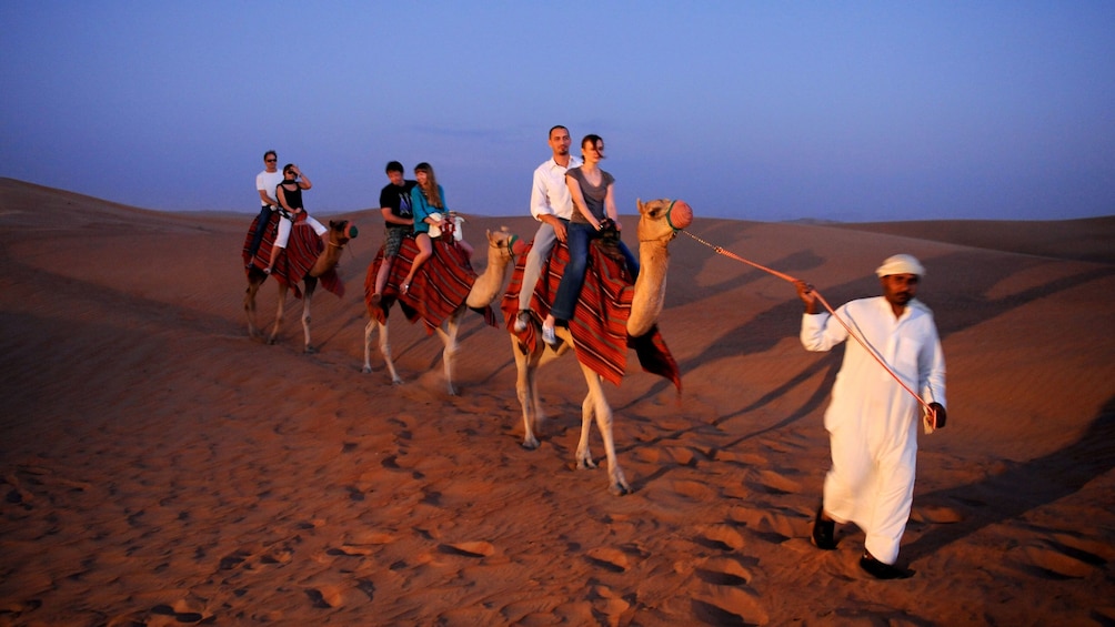 Foto 2 van 6. Arabic bedouin leading three camels and passengers in desert in Dubai