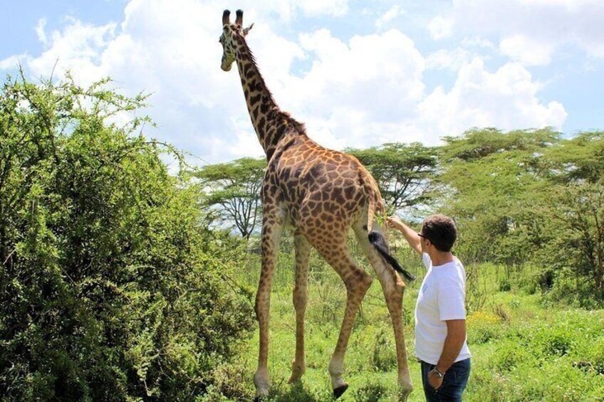 Lake nakuru