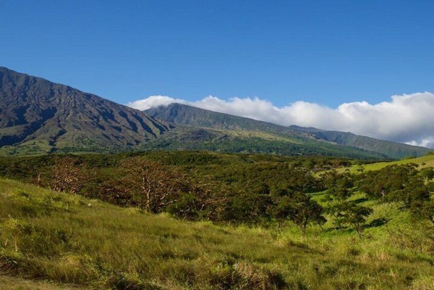 Road to Hana Tour