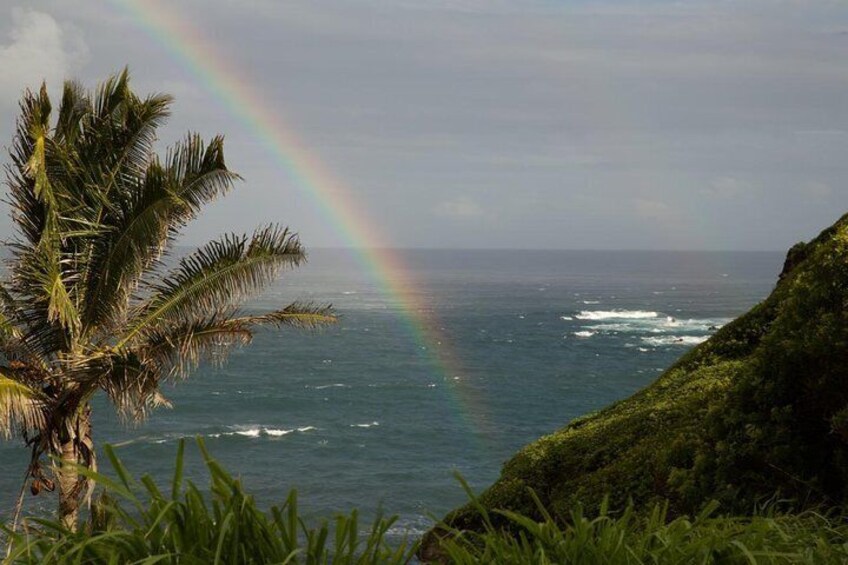 Road to Hana Tour