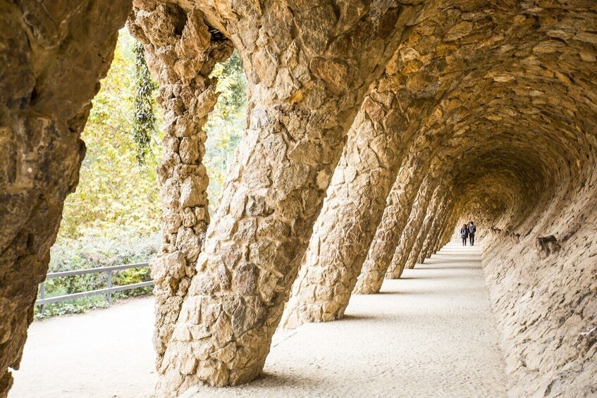 Skip-the-Line Park Güell Tickets and Guided Tour