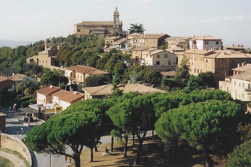 Montalcino view