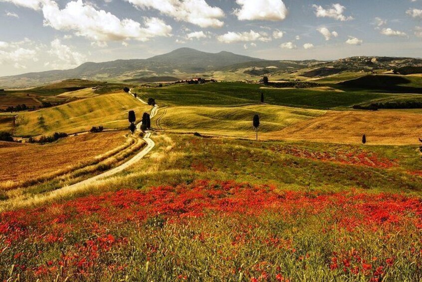 Tuscany Countryside