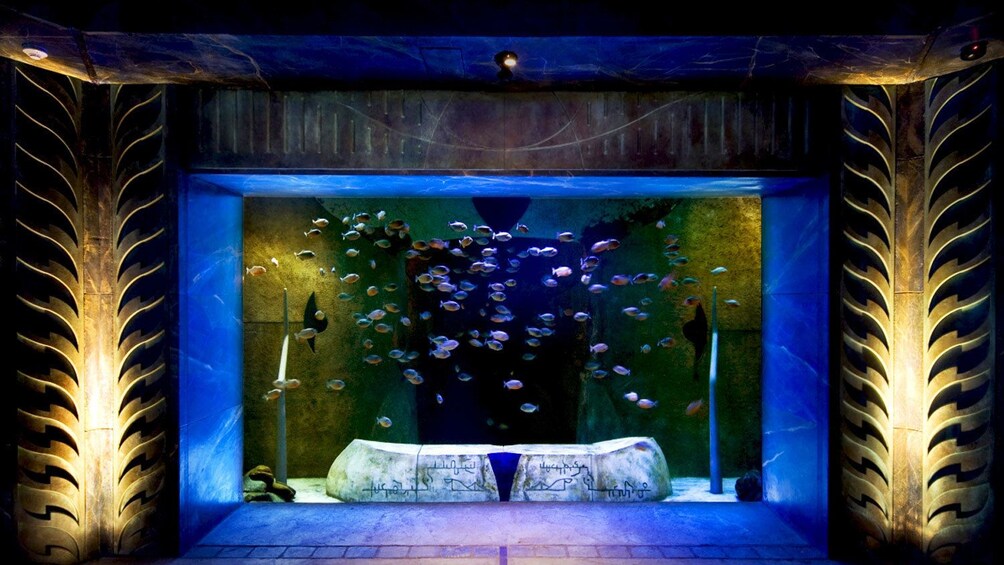 aquarium at Atlantis hotel in Dubai